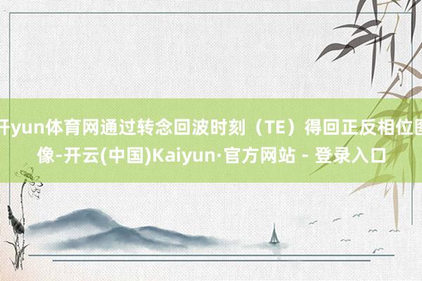 开yun体育网通过转念回波时刻（TE）得回正反相位图像-开云(中国)Kaiyun·官方网站 - 登录入口